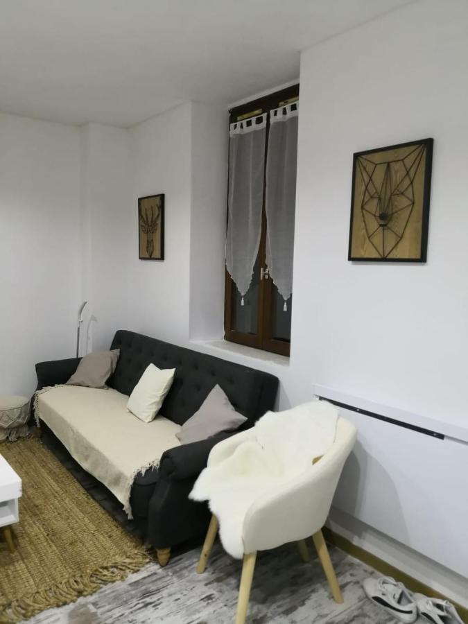 Studio Zen Et Cosy, Neuf En Pleine Ville Saint-Claude Eksteriør billede