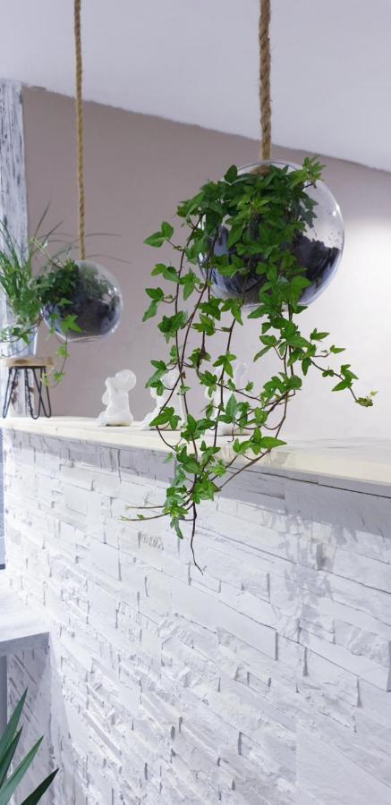Studio Zen Et Cosy, Neuf En Pleine Ville Saint-Claude Eksteriør billede